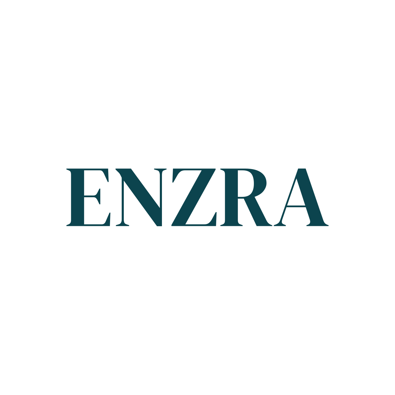 enzra logo